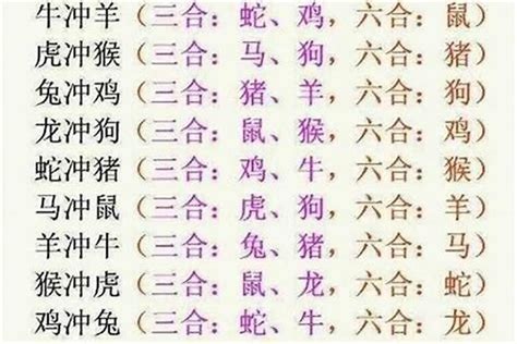 生肖三合六合意思|《易经》十二生肖三合、六合解析！